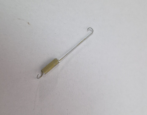 Frühjahrsrückkehr BS