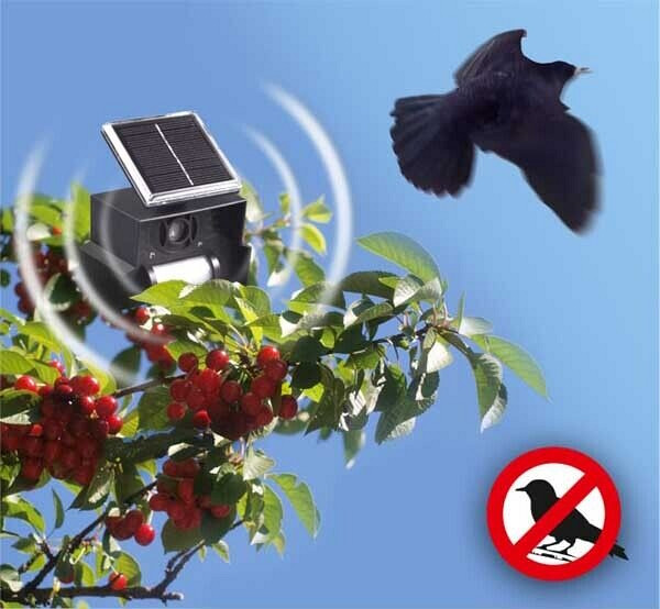 Vogel-Abwehr Solar