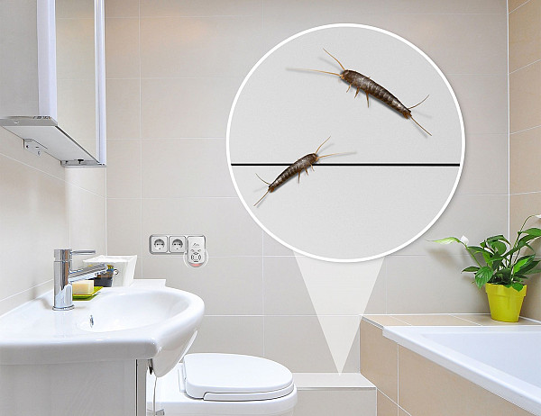 Ultraschall-Vertreiber für Mäuse, Ameisen und Silberfischchen