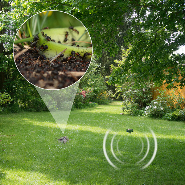 Solar Ameisen-Abwehr