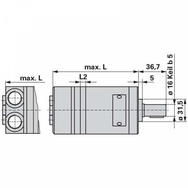 Hydromotor MMS 20